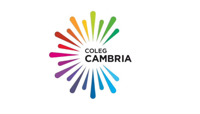 CC-Logo-removebg-preview