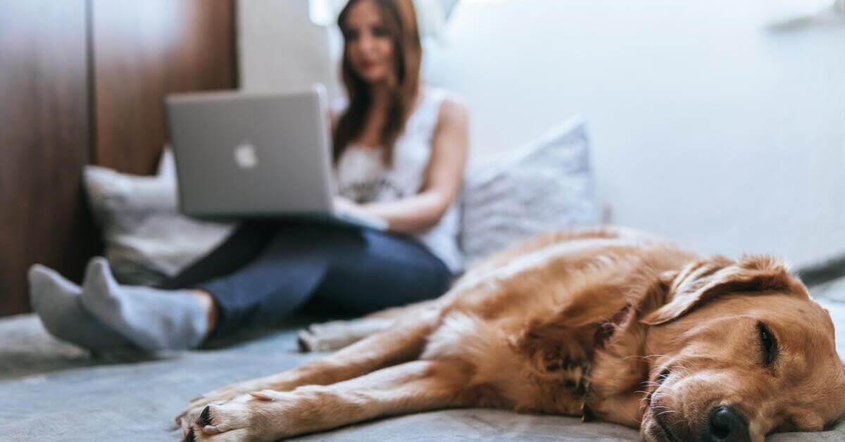 10 ways how to stay focused while working from home